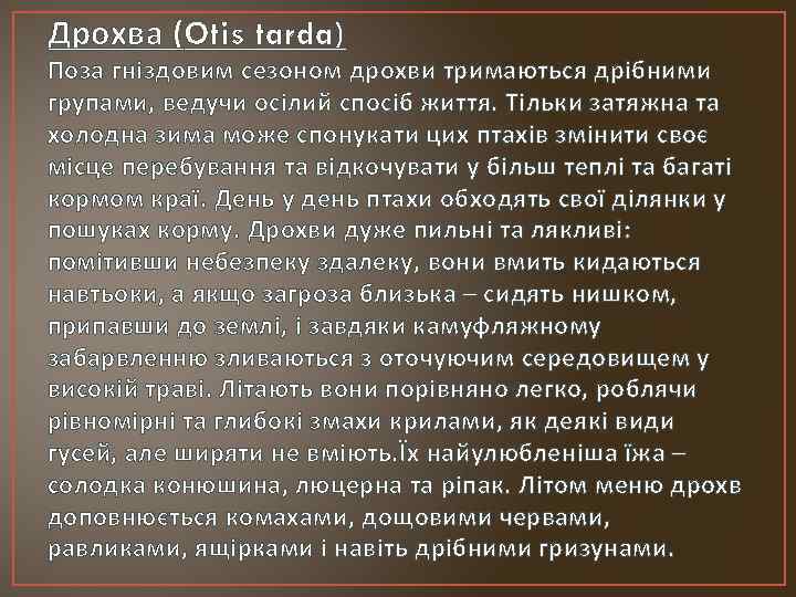 Дрохва (Otis tarda) Поза гніздовим сезоном дрохви тримаються дрібними групами, ведучи осілий спосіб життя.