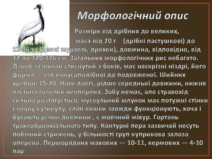 Морфологічний опис Розміри від дрібних до великих, маса від 20 г (дрібні пастушкові) до