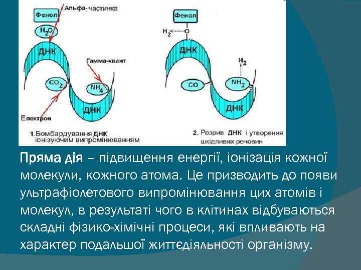 Пряма дія – підвищення енергії, іонізація кожної молекули, кожного атома. Це призводить до появи