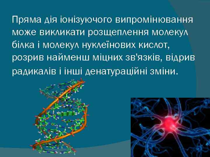 Пряма дія іонізуючого випромінювання може викликати розщеплення молекул білка і молекул нуклеїнових кислот, розрив