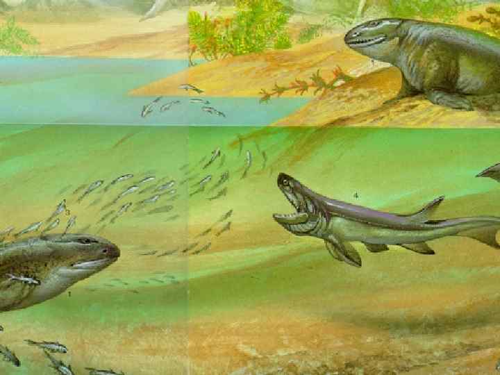 400 млн лет назад какой период. Девонский период палеозойской эры. Девонский период палеозойской эры животные. Палеозойская Эра Девонский период рыбы. Палеозой Эра силурийский период.