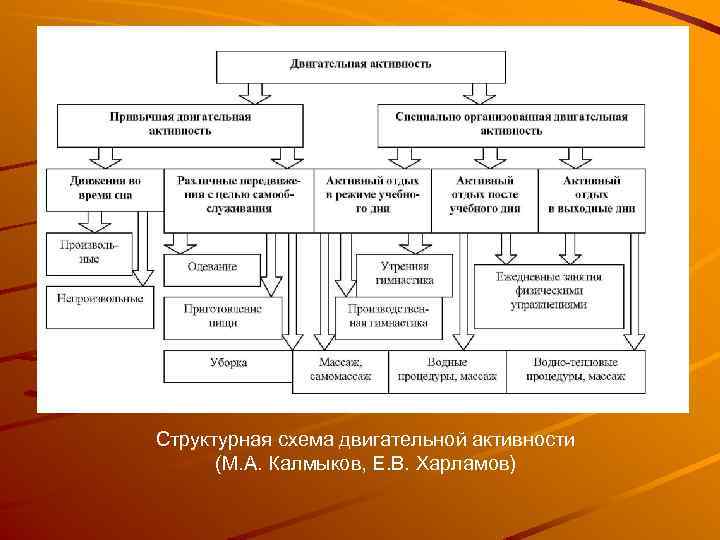 Структурная схема двигательной активности (М. А. Калмыков, Е. В. Харламов) 