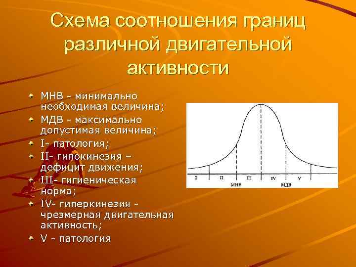 Схема соотношения границ различной двигательной активности МНB - минимально необходимая величина; МДВ - максимально