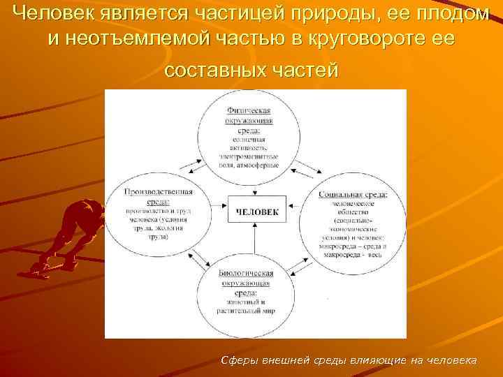 Человек является частицей природы, ее плодом и неотъемлемой частью в круговороте ее составных частей