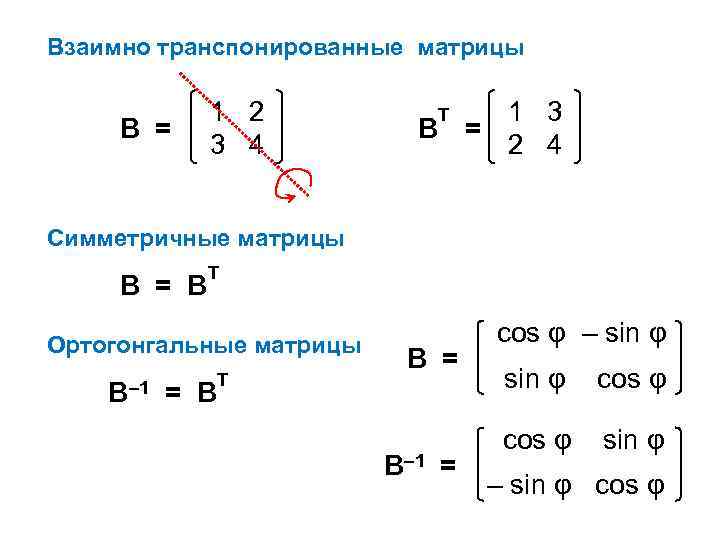 Взаимно транспонированные матрицы В = 1 2 3 4 1 3 В = 2