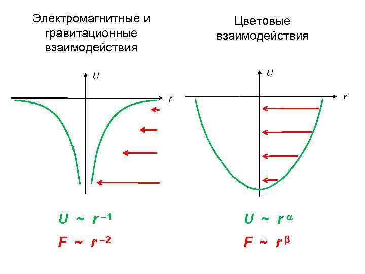 Электромагнитные и гравитационные взаимодействия Цветовые взаимодействия U U r r U ~ r –