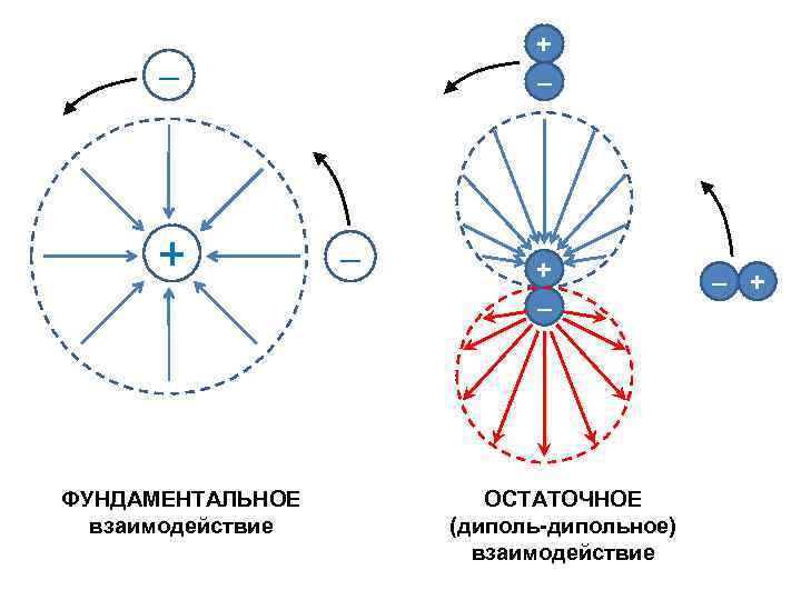 + – – + ФУНДАМЕНТАЛЬНОЕ взаимодействие – + – ОСТАТОЧНОЕ (диполь-дипольное) взаимодействие – +