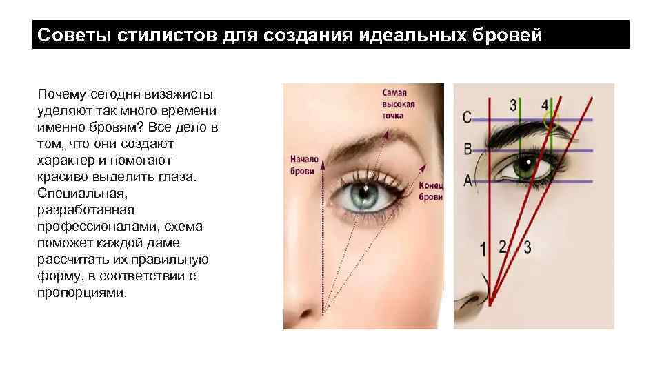 Советы стилистов для создания идеальных бровей Почему сегодня визажисты уделяют так много времени именно