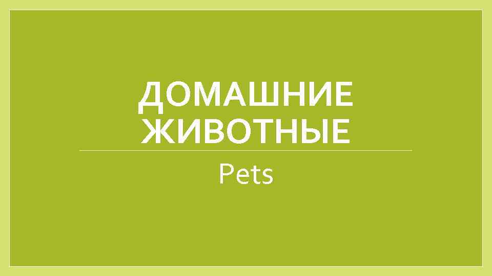 ДОМАШНИЕ ЖИВОТНЫЕ Pets 