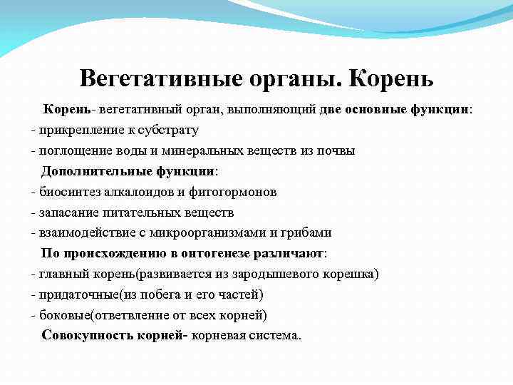 Вегетативные органы. Корень- вегетативный орган, выполняющий две основные функции: - прикрепление к субстрату -