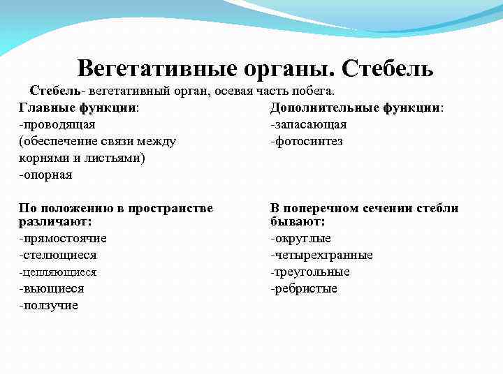 Вегетативные органы. Стебель- вегетативный орган, осевая часть побега. Главные функции: Дополнительные функции: -проводящая -запасающая