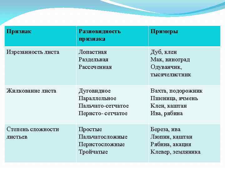 Признак Разновидность признака Примеры Изрезанность листа Лопастная Раздельная Рассеченная Дуб, клен Мак, виноград Одуванчик,