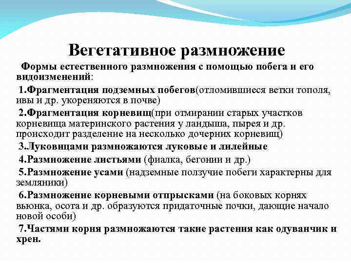 Вегетативное размножение Формы естественного размножения с помощью побега и его видоизменений: 1. Фрагментация подземных