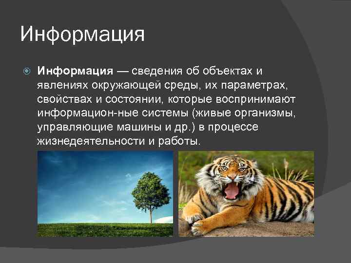 Информация — сведения об объектах и явлениях окружающей среды, их параметрах, свойствах и состоянии,