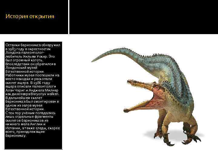 История открытия Останки барионикса обнаружил в 1983 году в окрестностях Лондона палеонтологлюбитель Уильям Уокер.