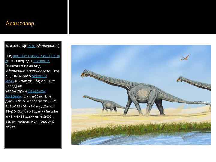 Аламозавр (лат. Alamosaurus) — род ящеротазовых динозавро винфраотряда зауропод. Включает один вид — Alamosaurus