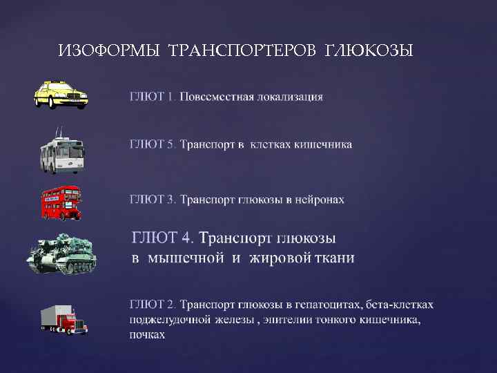 ИЗОФОРМЫ ТРАНСПОРТЕРОВ ГЛЮКОЗЫ 