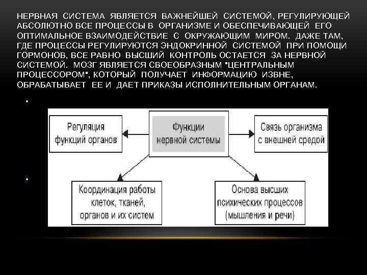 НЕРВНАЯ СИСТЕМА ЯВЛЯЕТСЯ ВАЖНЕЙШЕЙ СИСТЕМОЙ, РЕГУЛИРУЮЩЕЙ АБСОЛЮТНО ВСЕ ПРОЦЕССЫ В ОРГАНИЗМЕ И ОБЕСПЕЧИВАЮЩЕЙ ЕГО