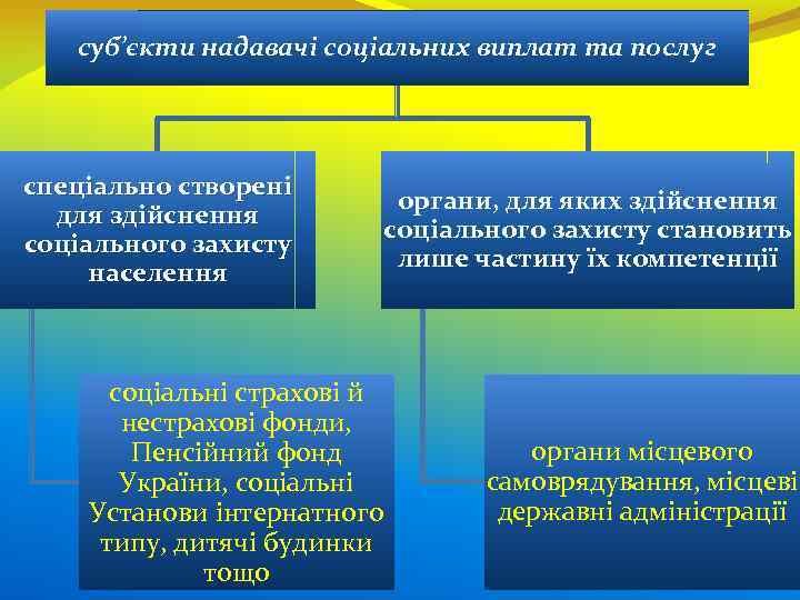 суб’єкти надавачі соціальних виплат та послуг спеціально створені для здійснення соціального захисту населення органи,