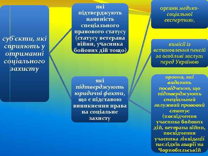 суб'єкти, які сприяють у отриманні соціального захисту які підтверджують наявність спеціального правового статусу (статусу