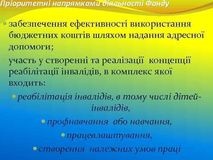 Пріоритетні напрямками діяльності Фонду забезпечення ефективності використання бюджетних коштів шляхом надання адресної допомоги; участь