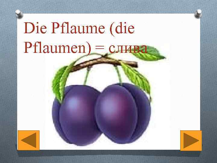 Die Pflaume (die Pflaumen) = слива 