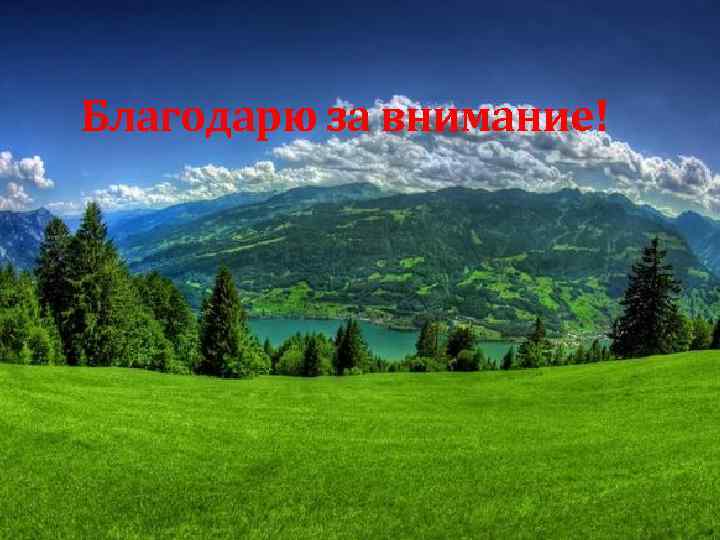 Благодарю за внимание! 