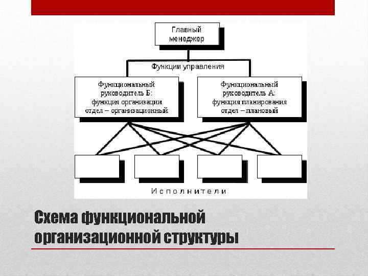 Схема функциональной организационной структуры 