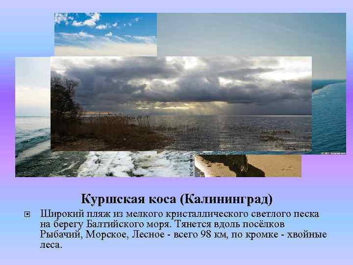 Куршская коса (Калининград) Широкий пляж из мелкого кристаллического светлого песка на берегу Балтийского моря.
