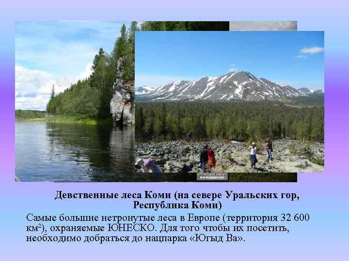 Девственные леса Коми (на севере Уральских гор, Республика Коми) Самые большие нетронутые леса в