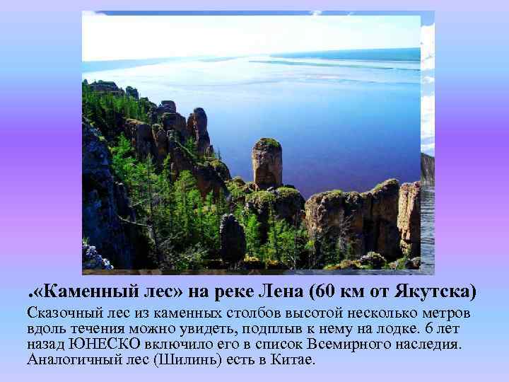 . «Каменный лес» на реке Лена (60 км от Якутска) Сказочный лес из каменных