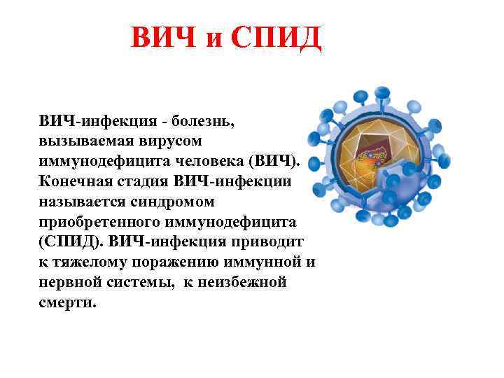 ВИЧ и СПИД ВИЧ-инфекция - болезнь, вызываемая вирусом иммунодефицита человека (ВИЧ). Конечная стадия ВИЧ-инфекции