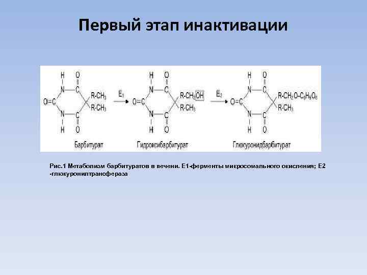 Первый этап инактивации Рис. 1 Метаболизм барбитуратов в печени. E 1 -ферменты микросомального окисления;