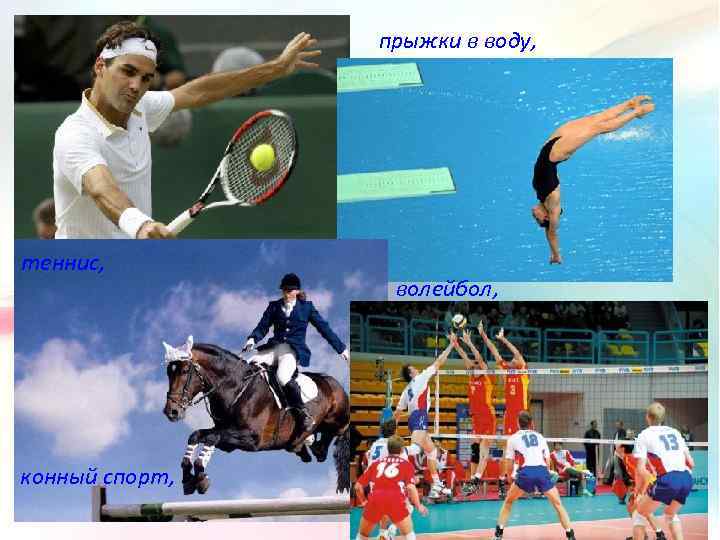 прыжки в воду, теннис, конный спорт, волейбол, 