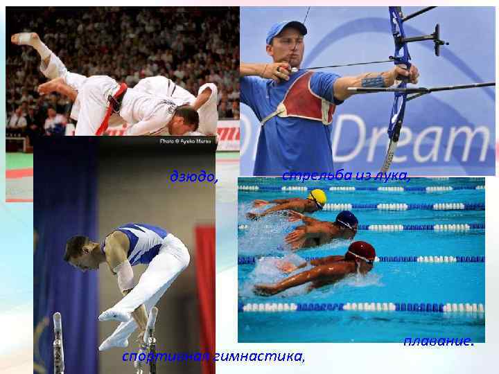 дзюдо, стрельба из лука, спортивная гимнастика, плавание. 