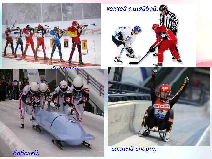 хоккей с шайбой, биатлон, бобслей, санный спорт, 