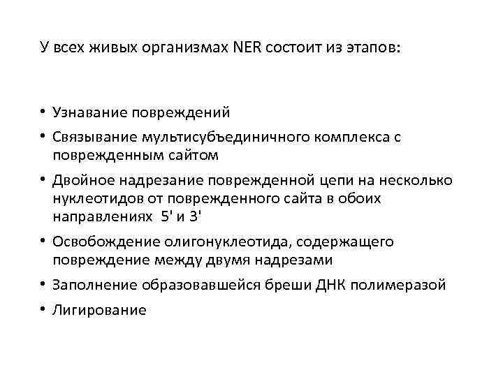 У всех живых организмах NER состоит из этапов: • Узнавание повреждений • Связывание мультисубъединичного