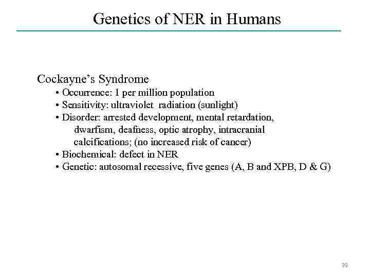 Genetics of NER in Humans Cockayne’s Syndrome • Occurrence: 1 per million population •