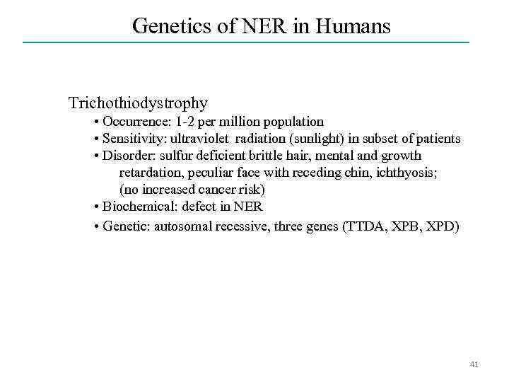 Genetics of NER in Humans Trichothiodystrophy • Occurrence: 1 -2 per million population •