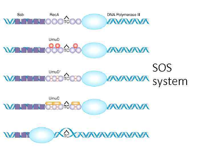 SOS system 