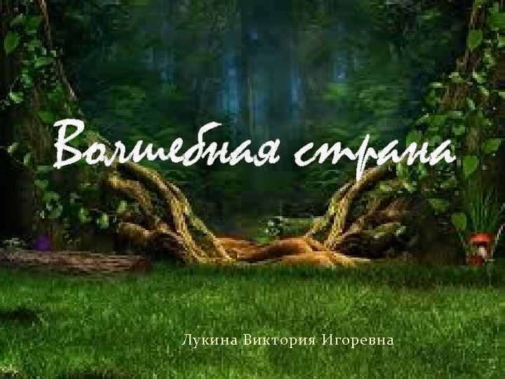 Волшебная страна Лукина Виктория Игоревна 