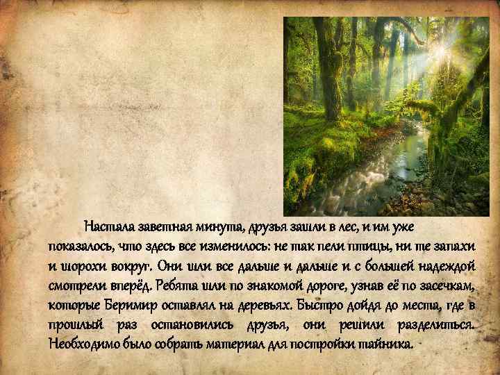 Настала заветная минута, друзья зашли в лес, и им уже показалось, что здесь все