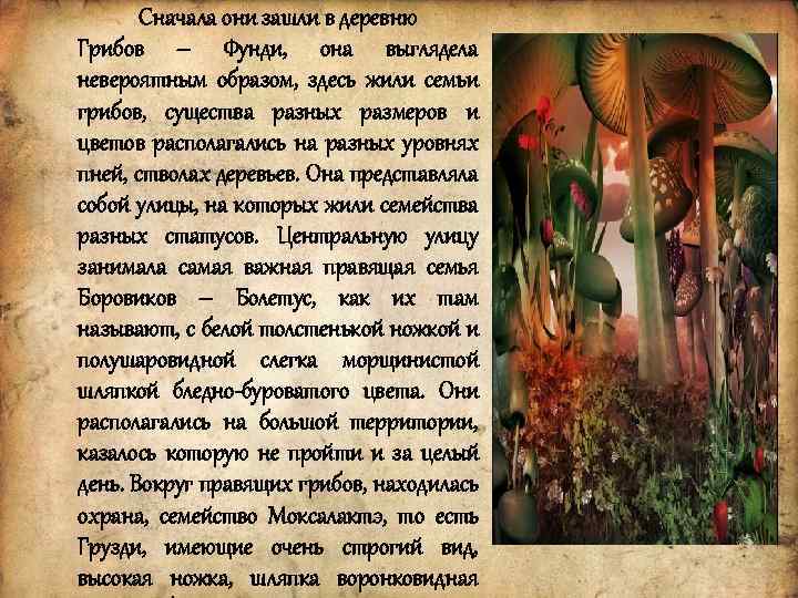 Сначала они зашли в деревню Грибов – Фунди, она выглядела невероятным образом, здесь жили