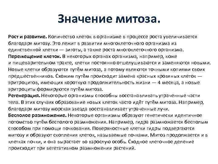 Значение митоза. Рост и развитие. Количество клеток в организме в процессе роста увеличивается благодаря