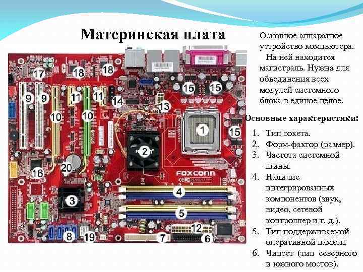 Материнская плата Основное аппаратное устройство компьютера. На ней находится магистраль. Нужна для объединения всех