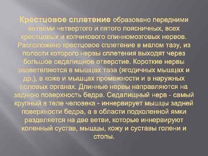 Крестцовое сплетение образовано передними ветвями четвертого и пятого поясничных, всех крестцовых и копчикового спинномозговых