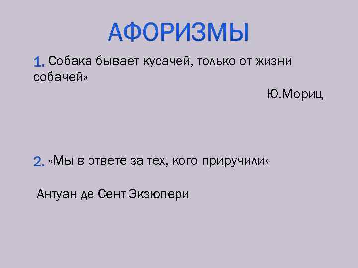 Собака бывает кусачей только от жизни собачей. Собака бывает кусачей только от жизни собачьей. Собака бывает кусачей пословица. Собака бывает кусачей текст. Собака бывает кусачей только от жизни собачей текст.