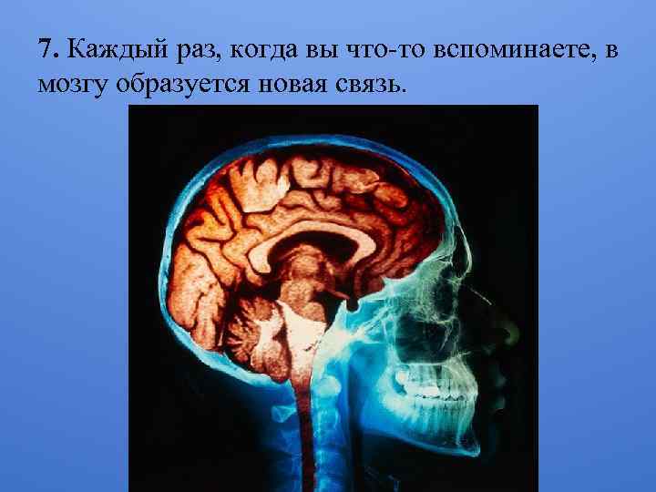 7. Каждый раз, когда вы что-то вспоминаете, в мозгу образуется новая связь. 