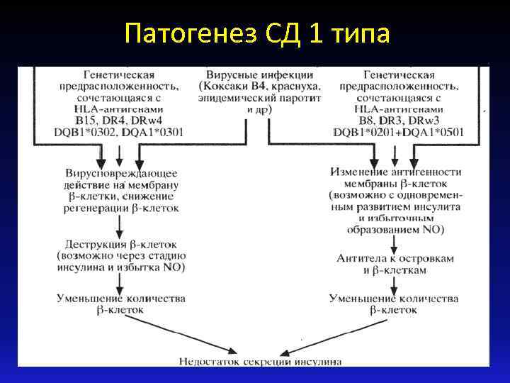 Патогенез СД 1 типа 