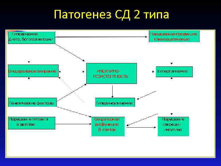 Патогенез СД 2 типа 